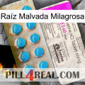 Raíz Malvada Milagrosa new07